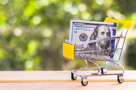100 US Dollar in mini shopping cart, natural green blurred background. Business, finance, online...