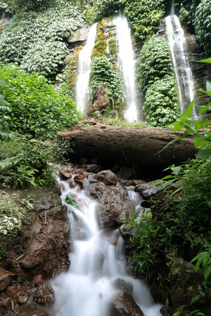 natural river in forest, Indonesiaの写真素材