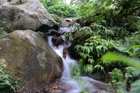 natural river in forest, Indonesiaの写真素材