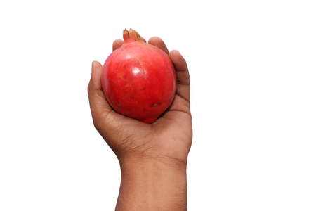 Reddish pomegranate fruit in men hand with white backgroundの写真素材