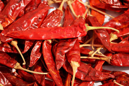 Group of many dried red spicy natural chilly collectionsの写真素材