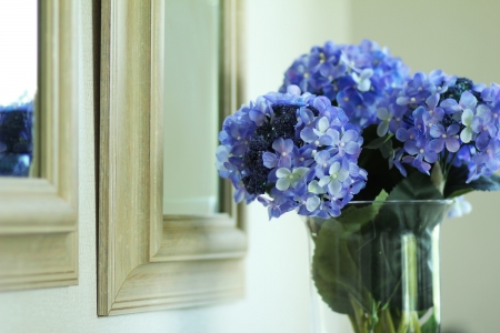 Hydrangeas in vaseの写真素材