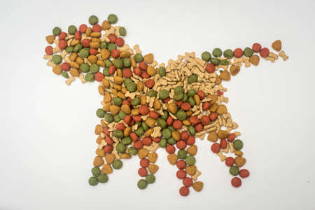 Focus Dog food on a white background