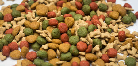 Focus Dog food on a white background