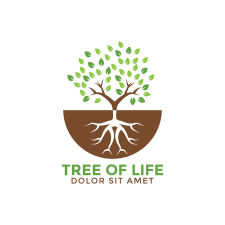 Tree of life graphic design templateのイラスト素材
