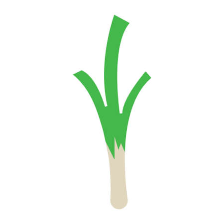 Spinach icon template vector isolatedのイラスト素材