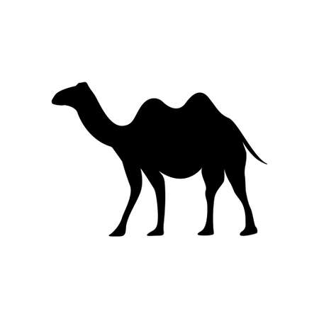 Camel icon design template vector illustrationのイラスト素材