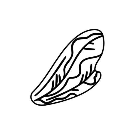 Bee wing icon design template vector isolated illustrationのイラスト素材