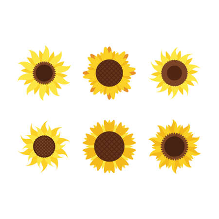 Sunflower icon design set bundle template isolatedのイラスト素材