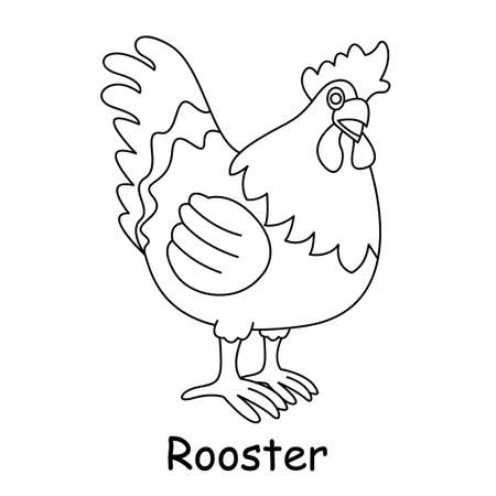 children coloring on the theme of animal vector, roosterのイラスト素材