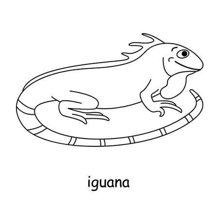 children coloring on the theme of animal vector, iguanaのイラスト素材