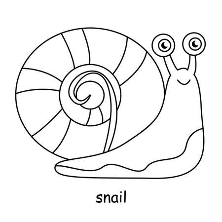 children coloring on the theme of animal vector, snailのイラスト素材
