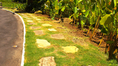 Stone walkway in the garden with green grass and tree background.の写真素材