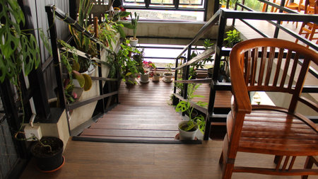 Wooden stairs with plants in pots and chairs in the garden.の写真素材