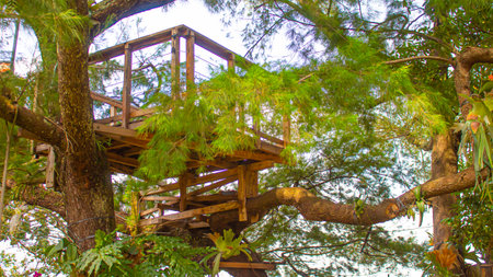 Treehouse with Natural Lighting, Serene and Eco-Friendly Retreatの写真素材