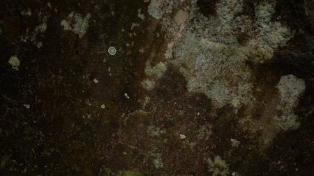 Natural Stone Texture with Moss and Damp Stainsの写真素材