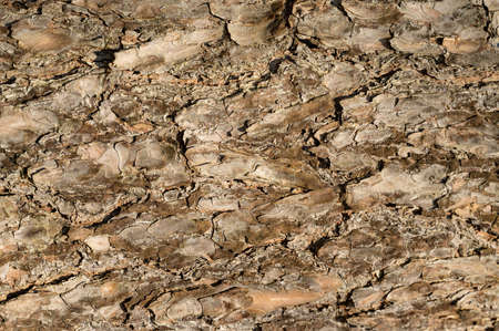 Colored layers of clay and stone in the soil section, various rock formations and layers of soil