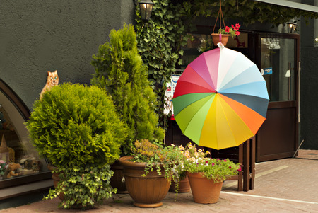 An open multicolored umbrella at the entrance to the souvenir shop next to pots with decorative  plantsのeditorial素材