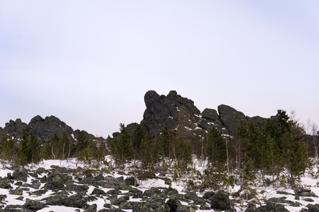crooked dwarf forest at the foot of granite rocks in the highlands in winterの写真素材