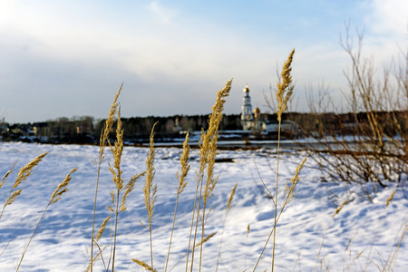 dry golden spikelets of last year's grass against the background of a blurry spring river landscape with an orthodox church on the far shore on a sunny dayの写真素材
