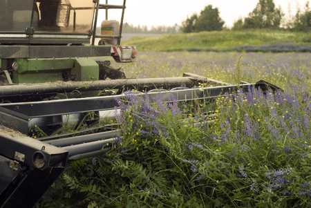 the harvester cuts lucerne - closeup of knives of the harvesting mechanismの写真素材