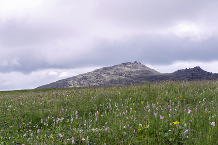 top of the mountain, towering above the alpine meadow under a cloudy skyの写真素材