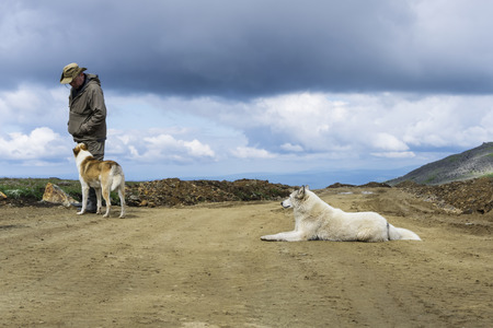 man in travel clothes communicates with two big dogs on a road in deserted mountain landscapeの写真素材