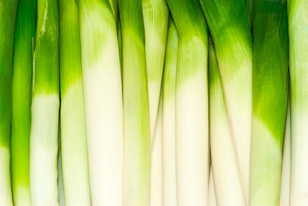 background - white and green leek stalksの写真素材