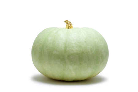 pale green ripe pumpkin on white background, side viewの写真素材