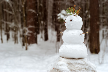 small snowman with a mohawk of pine needles stands under a snowfall against the background of a blurred park landscapeの写真素材