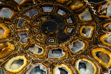 background - beautiful surface of cut shell of a fossil ammonite mollusc filled with quartz crystals