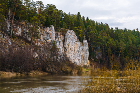 river bank with limestone cliffs overgrown with pine forest in early spring in cloudy weatherの写真素材