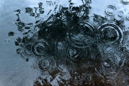 circles from raindrops on the water surface of a shallow pond