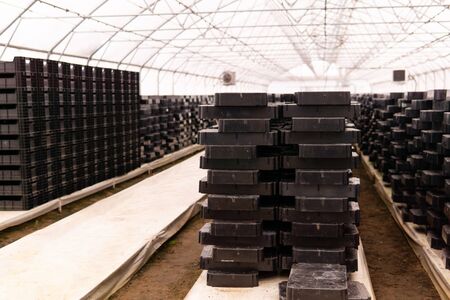 empty seedling boxes prepared for next season in the greenhouse