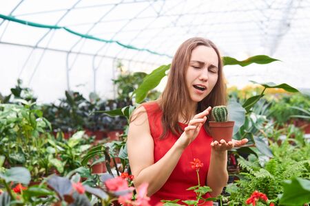young woman in a red dress among red flowers in a greenhouse pricked her finger on a cactus in a flower pot, which she holds in her handsの写真素材