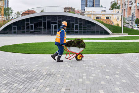Perm, Russia - May 14. 2020: worker carries turf rolls in a wheelbarrow on the background of urban landscapingのeditorial素材