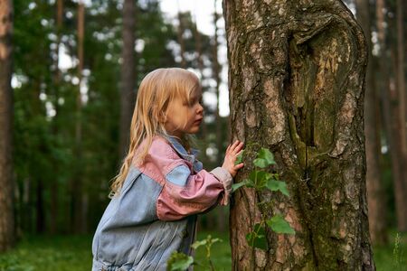 little girl with interest explores a tree trunk during a walk in the park; tree bark pattern looks like an earの写真素材
