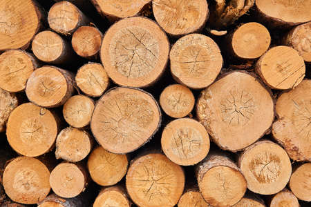 background - ends of stacked birch logs