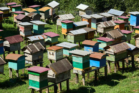 village apiary in the highlands with roughly made homemade hives