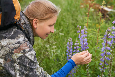backpacker woman woman looking at lupine flowers in a meadow
