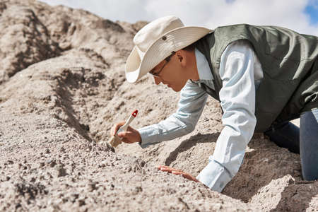 man paleontologist or archaeologist cleans the find with a brush in the desertの写真素材