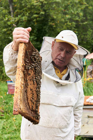 Perm, Russia - August 13, 2020: beekeeper examines the brood frame removed from the hive, holding it in his handsのeditorial素材