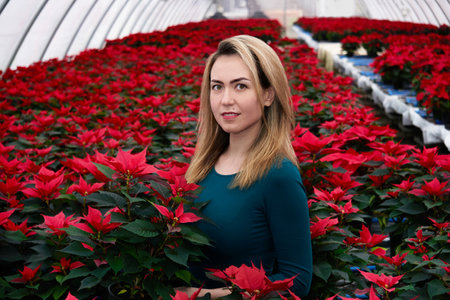 young woman holding a red poinsettia flower in her hands while standing among other similar plants in the interior of an plant nurseryの写真素材
