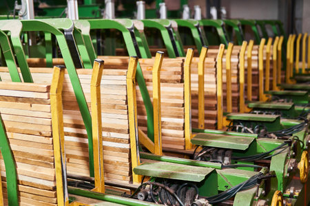 fragment of a conveyor line for the production of planks at a woodworking plant close-upの写真素材