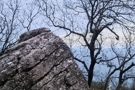 gray cracked rock against the background of blurry winter trees and seaの写真素材