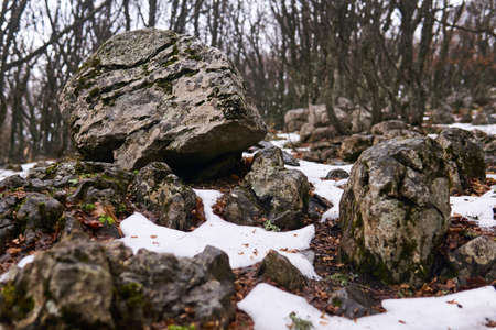 stones among the melted snow in a spring mountain forest close upの写真素材