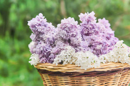 basket with lilac flowers on a blurred natural background