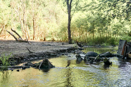 environmental pollution; garbage and waste in the bed of the small river and the bank poisoned by...