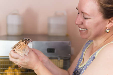 woman farmer tenderly holds domestic quail in her hands indoor