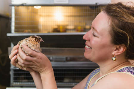 woman farmer tenderly holds domestic quail in her hands indoorの写真素材